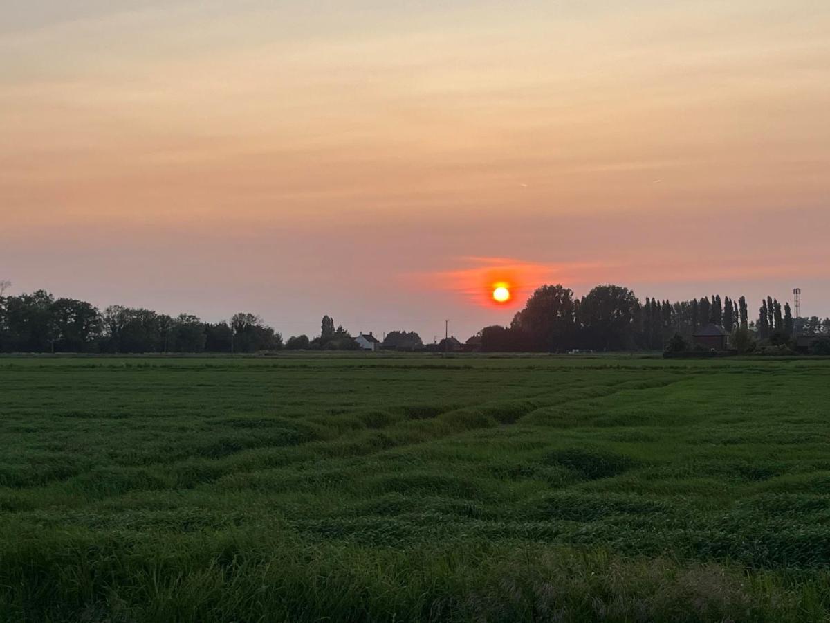 Boyce Fen Farm Retreat Glamping & Fishery Villa Wisbech Eksteriør billede